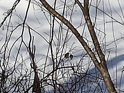 2013-12-31 11.34.50.jpg
