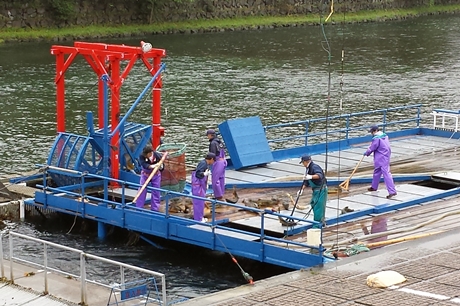インディアン水車橋