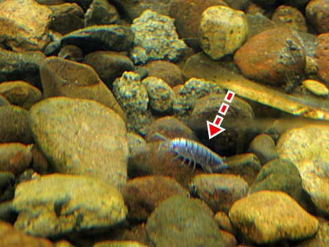 DSCN0046.JPG