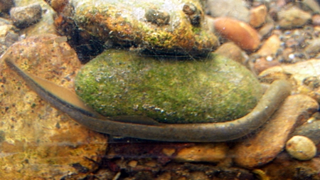 DSCN0059.JPG