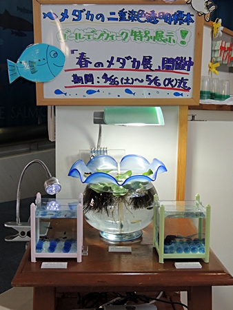 DSCN0083.JPG