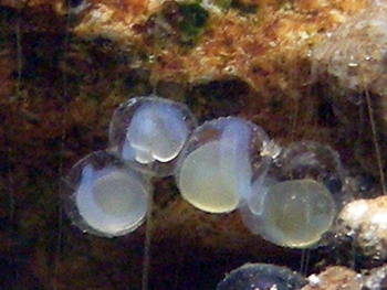 DSCN0489_up.JPG