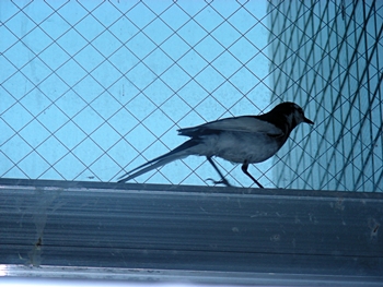 DSCN0559.JPG