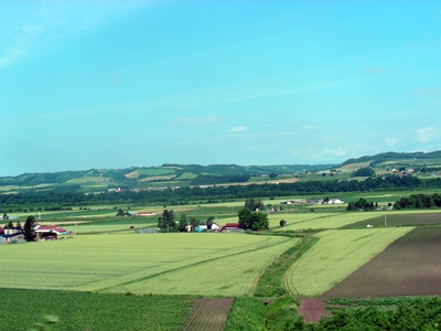 DSCN0603.JPG