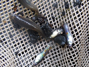 DSCN0617.JPG