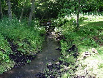 DSCN0625.JPG