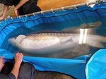 DSCN1061-thumbnail2.jpg