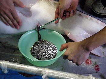 DSCN1109.jpg