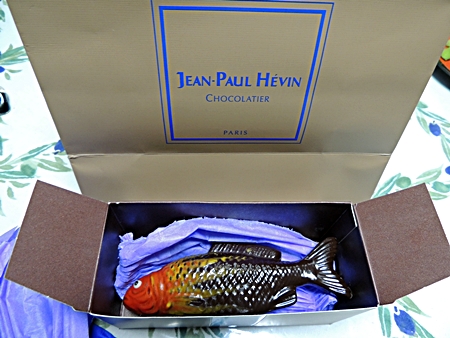 DSCN1137.JPG