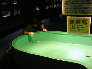 DSCN3189.JPG