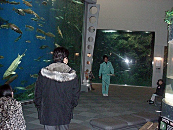 DSCN3431.JPG
