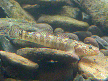 DSCN5255.JPG