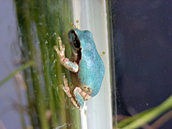 DSCN6694.JPG
