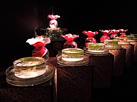 DSCN6696.JPG