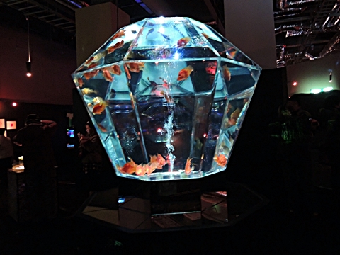 DSCN6720.JPG