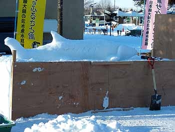 DSCN6750.jpg