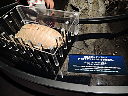 DSCN7240.JPG