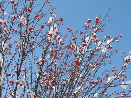 DSCN7803.JPG