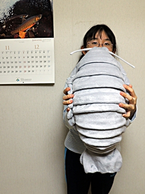 DSCN7827.JPG