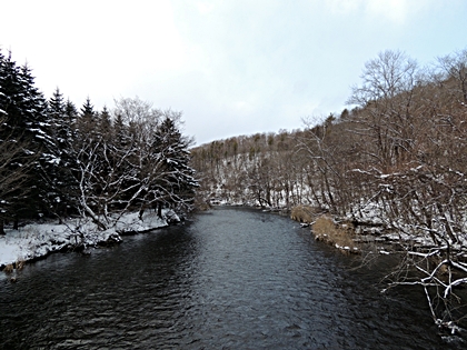 DSCN7839.JPG
