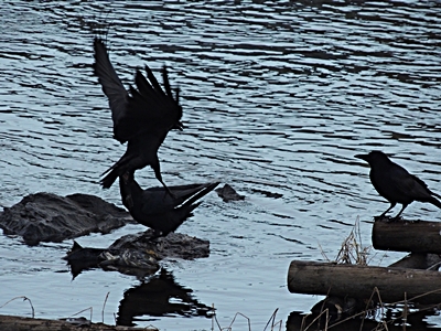 DSCN7843.JPG