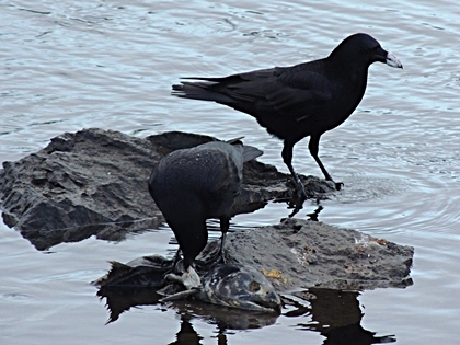 DSCN7849.JPG