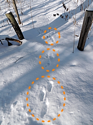 DSCN7864.JPG