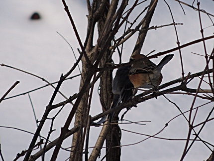 DSCN7868.JPG
