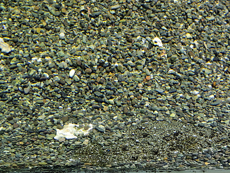 DSCN8129.JPG