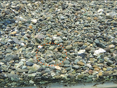 DSCN8137_L.JPG