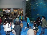 DSCN8173.JPG
