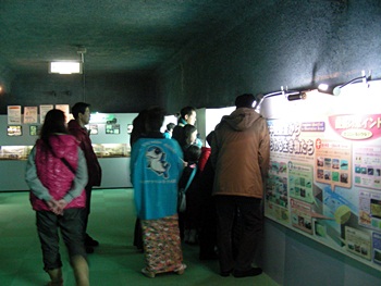 DSCN8181.JPG