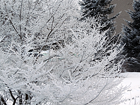 DSCN8187.JPG
