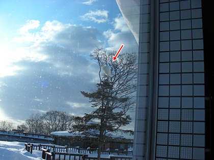DSCN8216.JPG