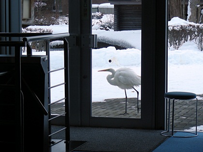 DSCN8225.JPG