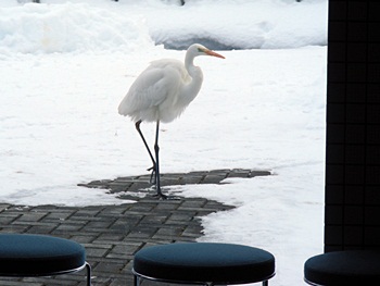 DSCN8226.JPG