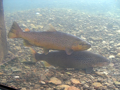 DSCN8327.JPG