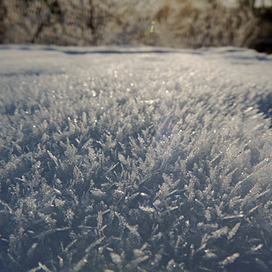 DSCN8367.JPG
