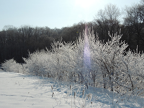 DSCN8450.JPG