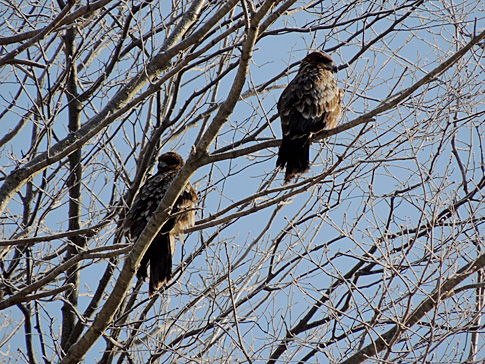 DSCN8507.JPG