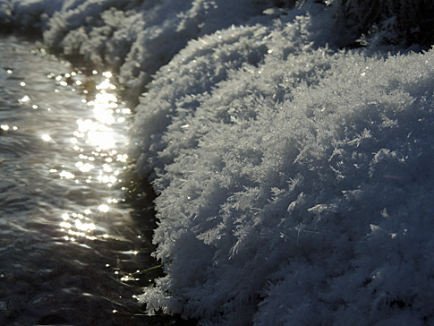 DSCN8518.JPG