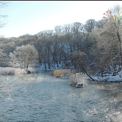 DSCN8548.JPG