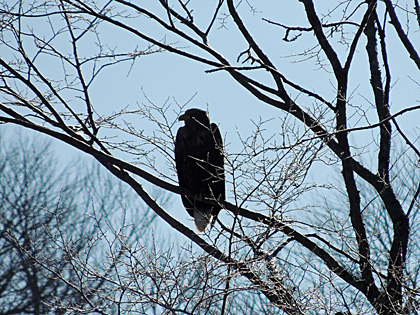 DSCN8555.JPG