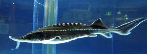 DSCN8686.jpg