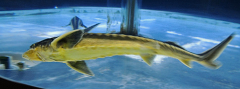 DSCN8692.jpg
