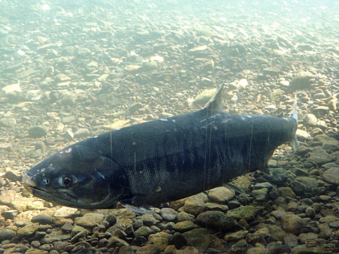 DSCN9048.JPG