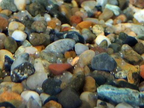 DSCN9056.JPG