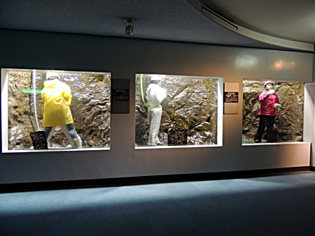 DSCN9181.JPG