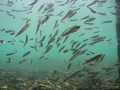 DSCN9257.JPG