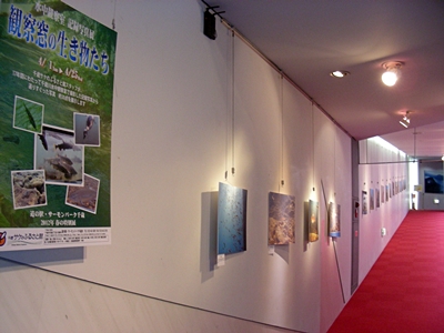 DSCN9434.JPG